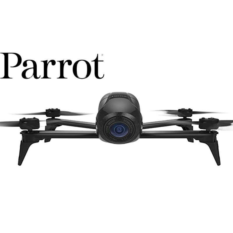 parrot